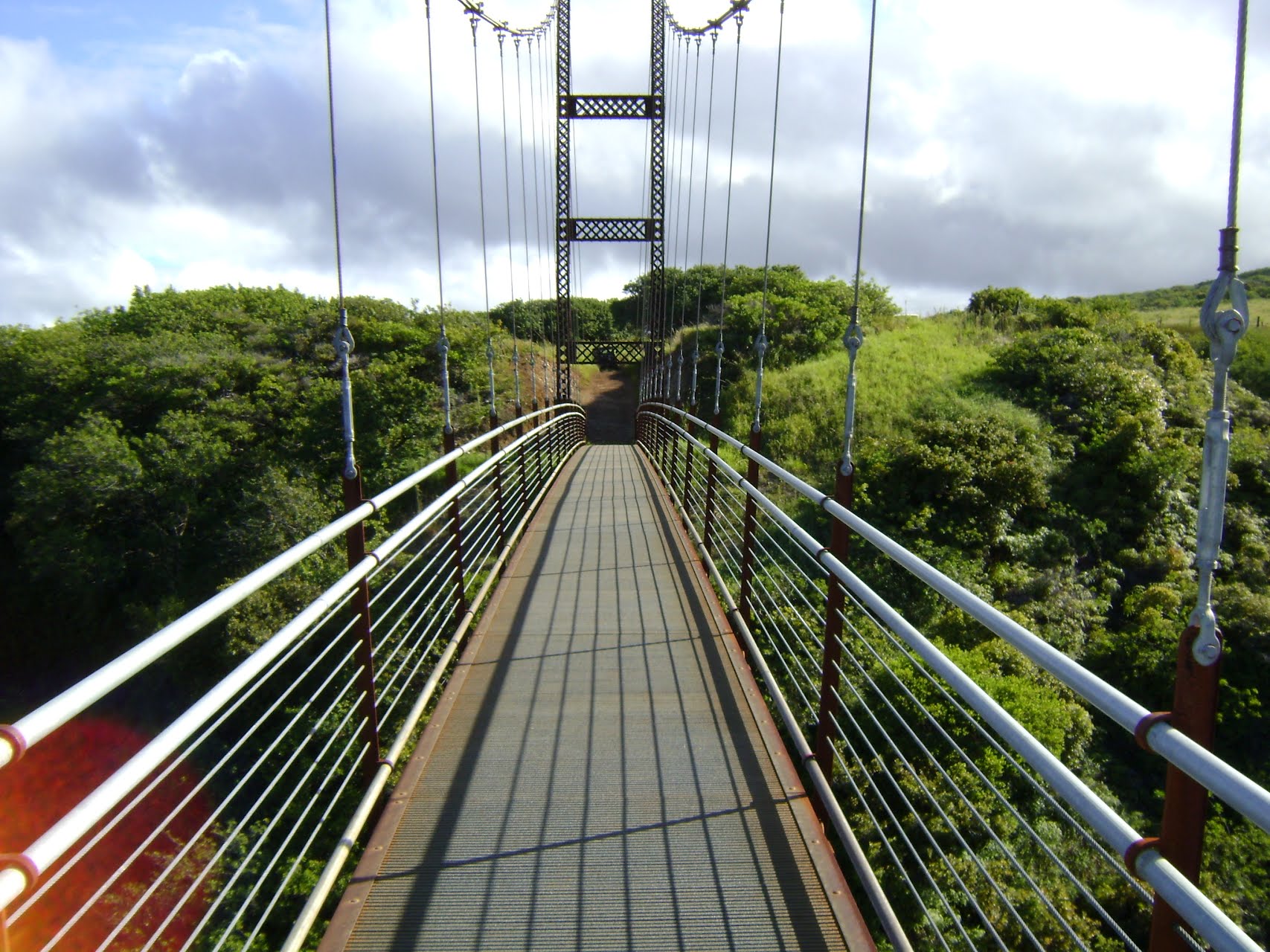 Kapalua Beach Adventures & Mountain Tours by Temptation Tours