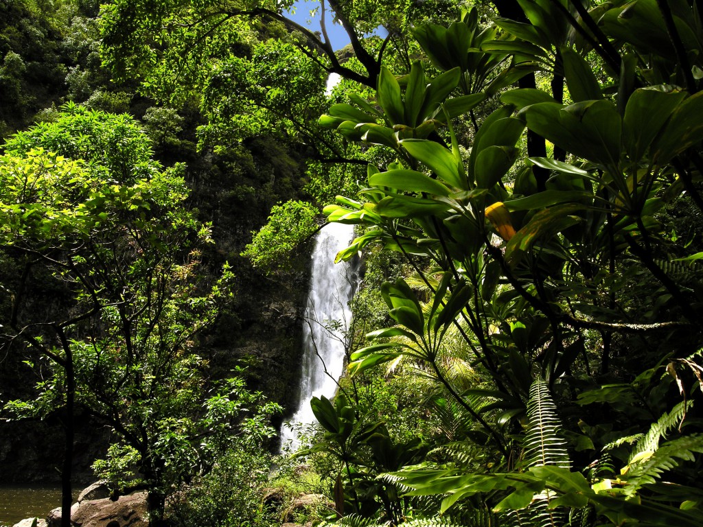 Hana Picnic Tours and Activities in Maui Hawaii ...