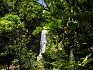 Temptation Tours - Hana Cave-Quest - Rainforest Waterfall