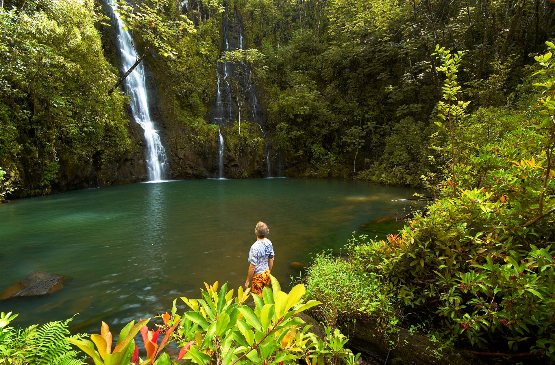 The Best Road To Hana Tours & Excursions In Maui Temptation Tours