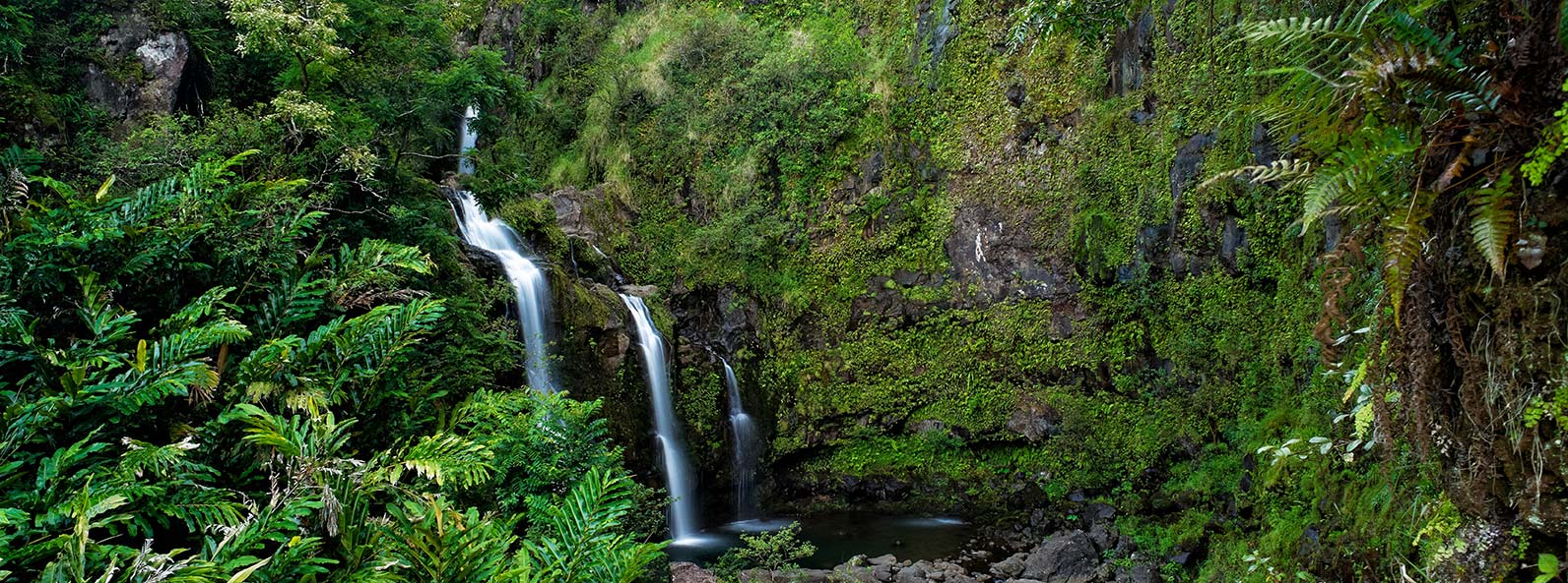 The Best Road To Hana Tours & Excursions In Maui Temptation Tours