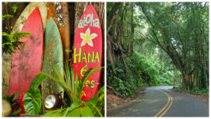 Fun on the Road to Hana, Maui